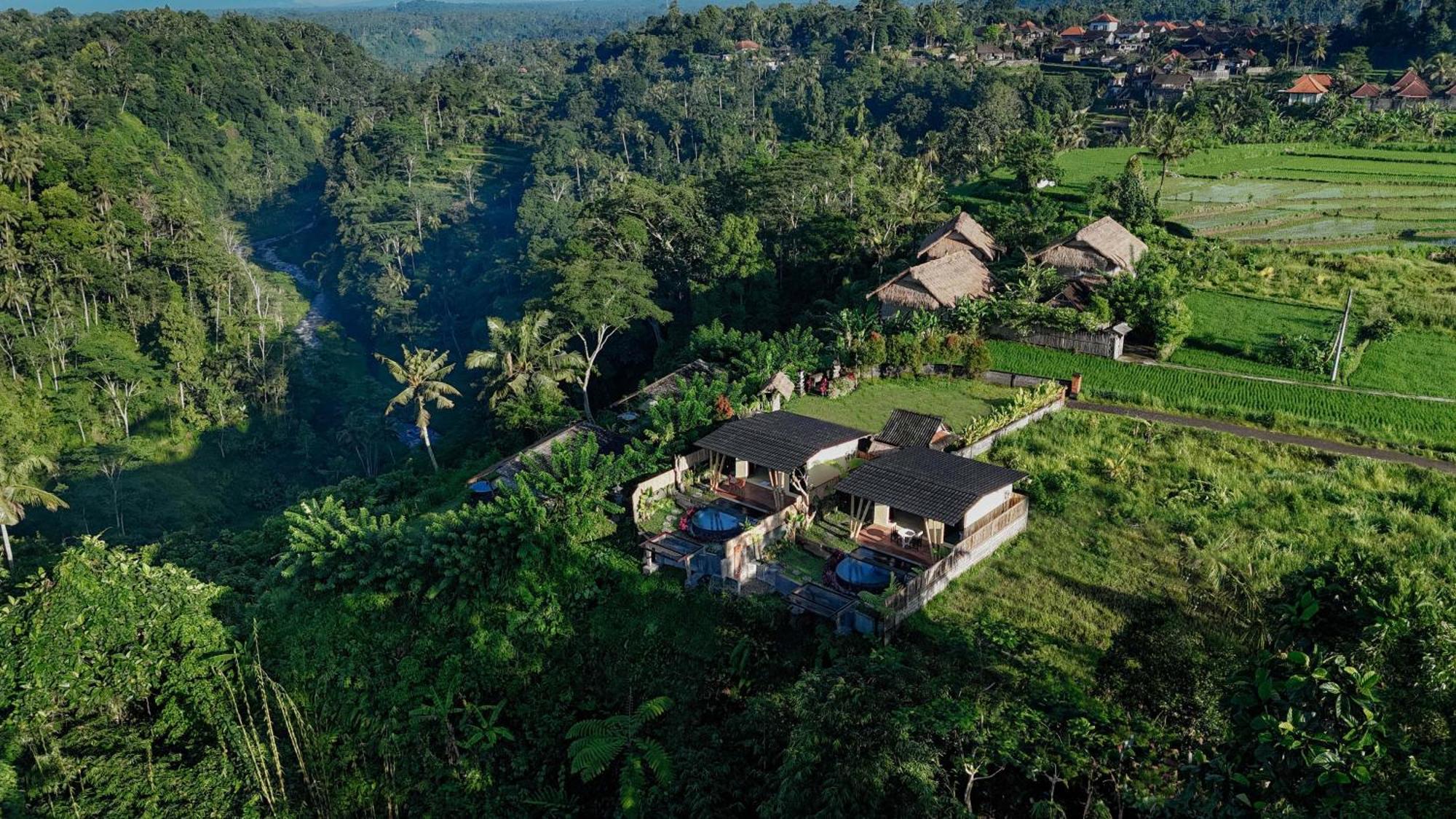 Willa Shigar Livin Bali Sidemen  Zewnętrze zdjęcie