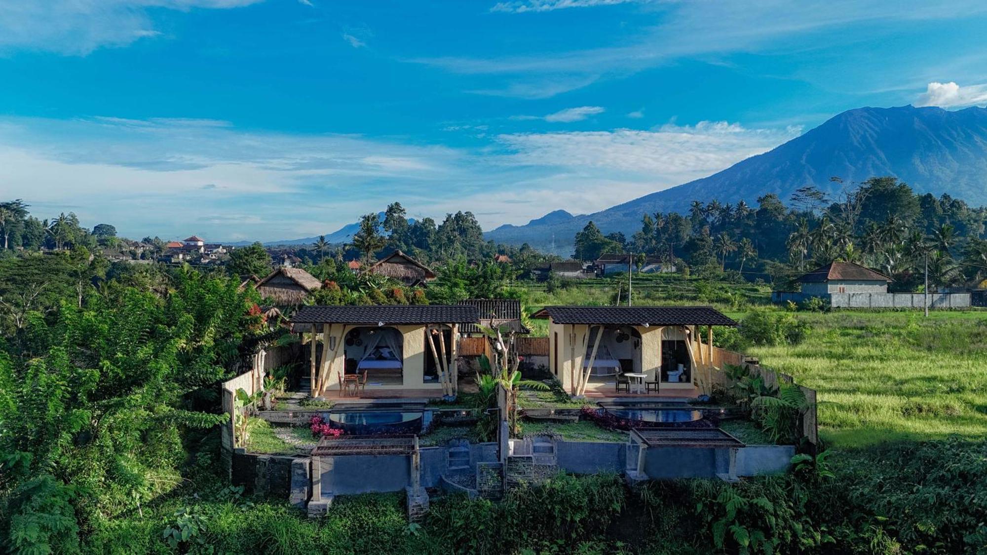 Willa Shigar Livin Bali Sidemen  Zewnętrze zdjęcie